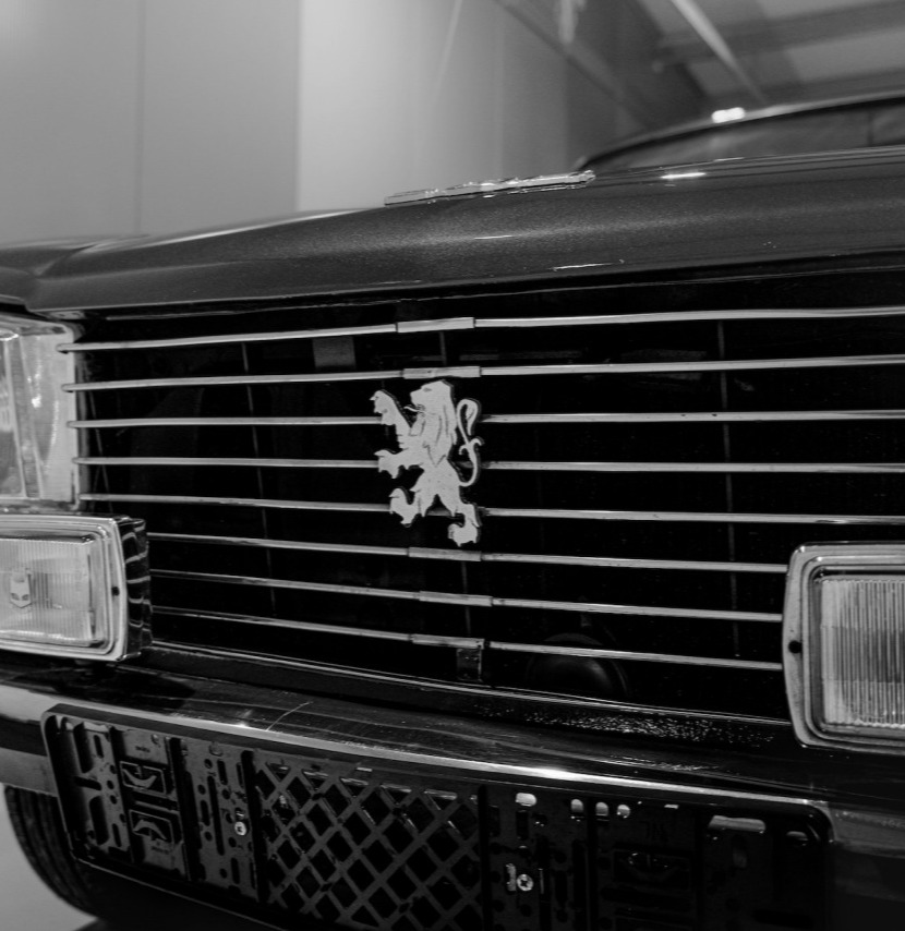 Banner Image 1