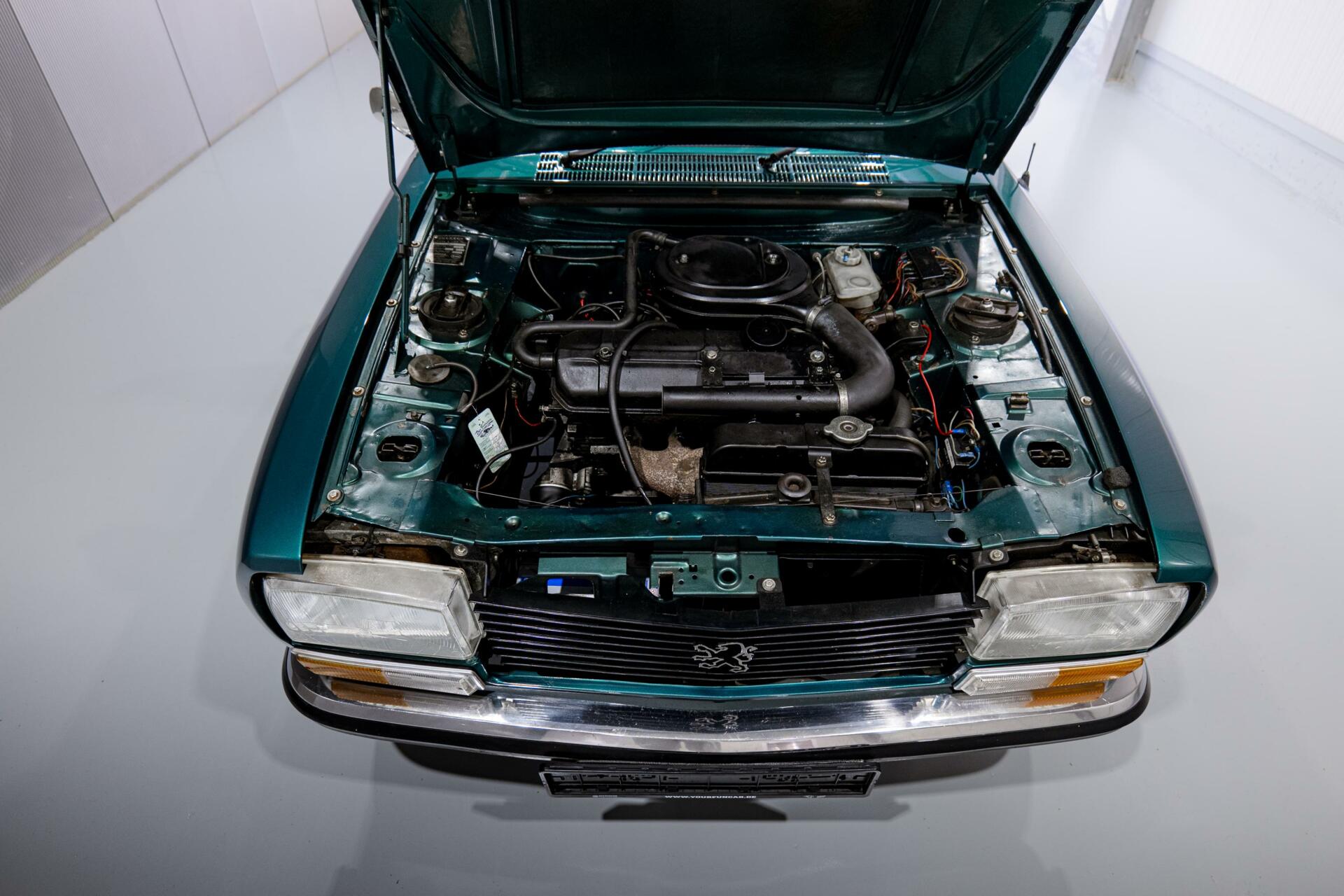 41797474-34.jpg